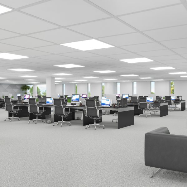 Still Rendering | Montgomery Interior